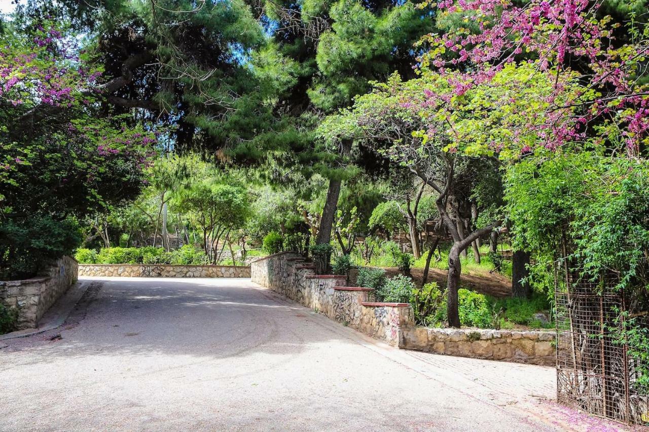 Charming Apartment Near Panathenaic Stadium Kültér fotó